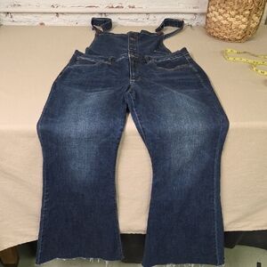 Judy Blues Flare Overalls Size 1X